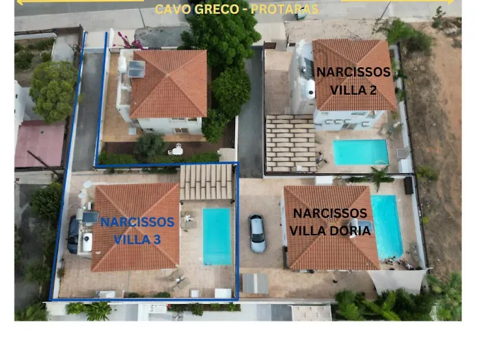 Narcissos 3 *